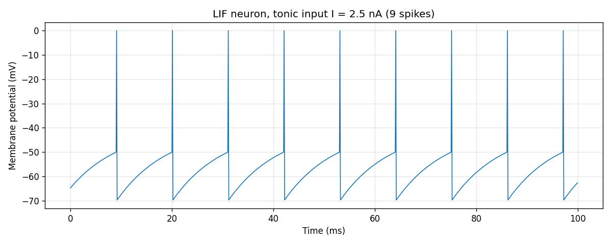 LIF voltage trace